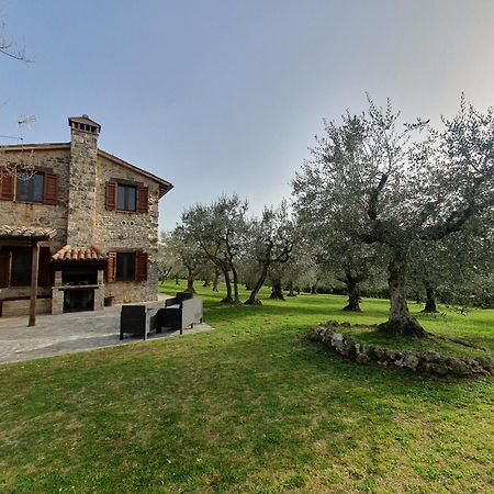 Villa Lisabetta Montecchio  Ngoại thất bức ảnh